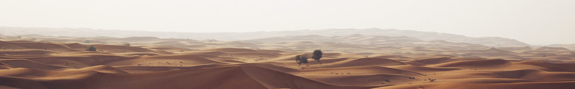 аԴܿƼ޹˾
